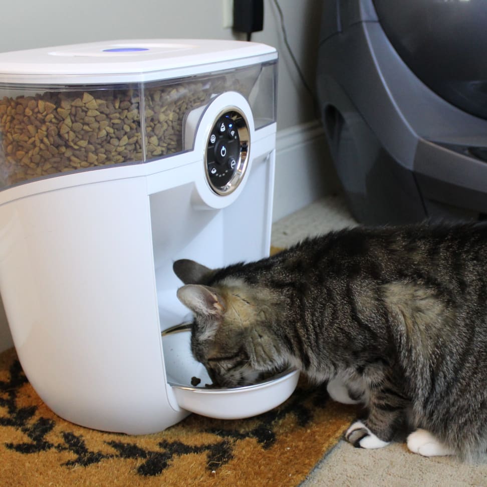 The Future of Pet Care Robot Automatic Pet Feeder