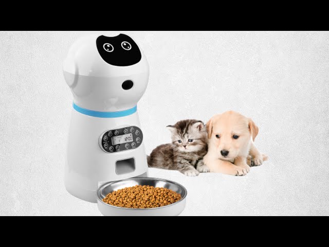 The Future of Pet Care Robot Automatic Pet Feeders